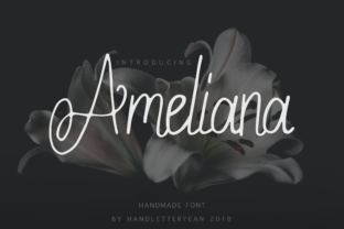 Ameliana: Handwritten Elegance, Engineered for Clarity