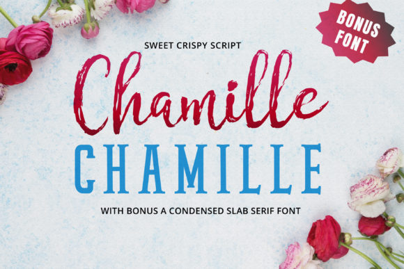Chamille Script: Where Hand-Drawn Warmth Meets High-End Typography