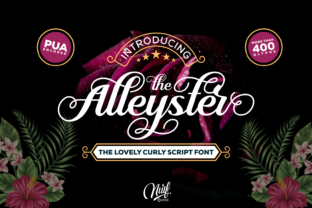 Why Designers Keep Coming Back to Alleyster for Standout Typography